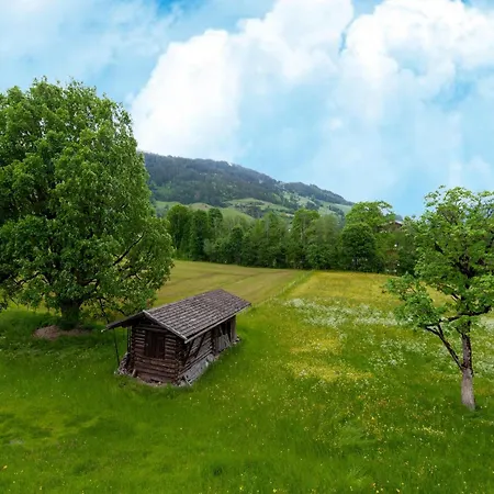 In Tyrol Near Kitzbuehel