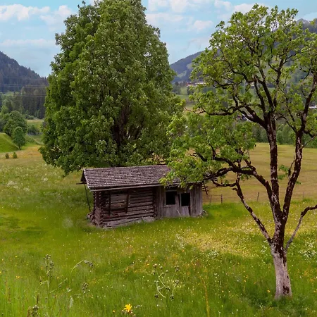 In Tyrol Near Kitzbuehel * Hutte