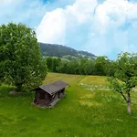 In Tyrol Near Kitzbuehel